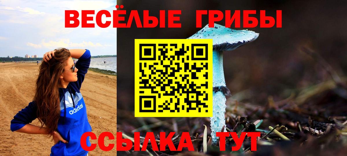 Псилоцибиновые грибы прущие грибы  купить  цена  Вологда  Вход с VPN  Галлюциногенные грибы мухоморы 