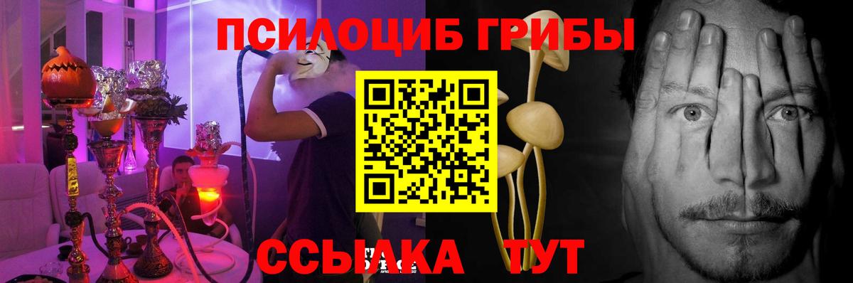 Галлюциногенные грибы Psilocybe Вологда